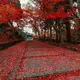 寻梦